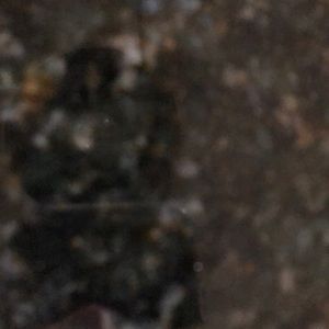 Meet your Posher, Catherine